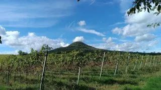 Balaton na gravelu