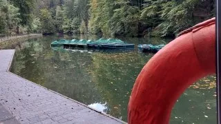 Saské Švýcarsko a Bastei