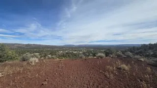 Gallup