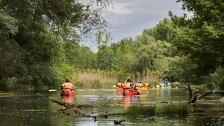 Žitný ostrov, kajak