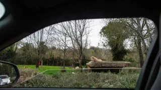 Ford trip, Parco Natura Viva