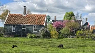 Zaanse Schans