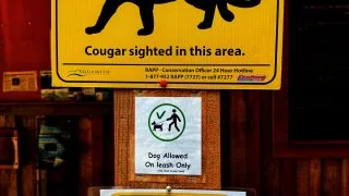 Fotr na tripu 10, kempování v Kanadě