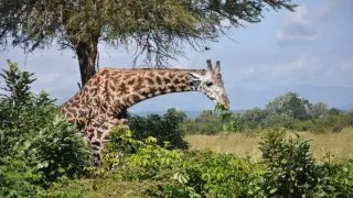 Safari v srdci Afriky