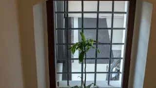 Škoda 130 let, Muzeum karosářství