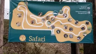 Ford trip, Parco Natura Viva
