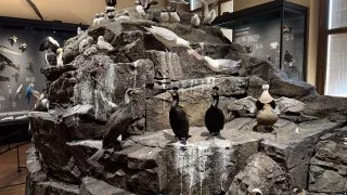 Národní muzeum Praha