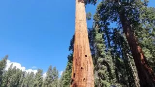 Kalifornský národní park Sequoia