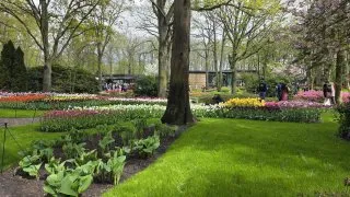 Keukenhof