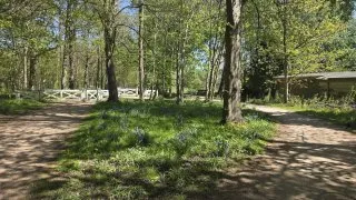 Trip Holandsko, Zeeland, kolo