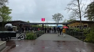 Keukenhof