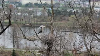 Zoo Praha