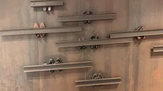 Fotr na tripu 11, Neapol II