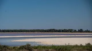 Ford trip, Camargue
