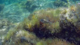 Sardinie 2. díl