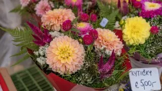 Slovenský trip - Trh Bátovce