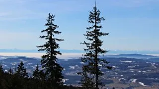 Třístoličník, Šumava