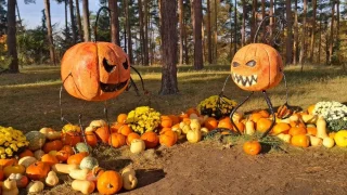 Podzimní procházka v botanické zahradě v Troji: Dýně na všechny způsoby a obří skleník k tomu