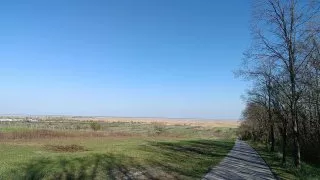 Neusiedler See