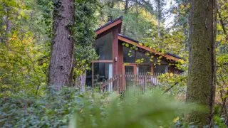 Forest Holidays