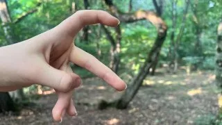 Křivý les a Hoia Baciu