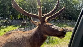 Fotr na tripu 10, Parc Omega