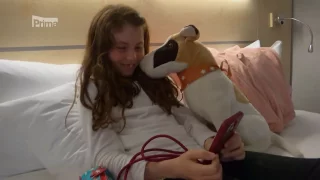Velký návrat. Leontýnka přiletěla zpět na trip, i když bez zoubku