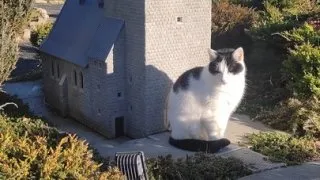 Vánoční trhy - Wroclaw