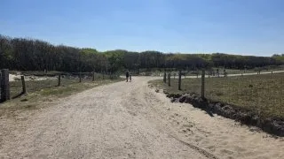 Trip Holandsko, Zeeland, kolo