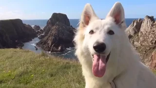 Fotr tentokrát dojel až na planetu Ahch-To ze Star Wars. A málem spadl do ďáblovy díry