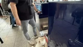 Fotr na tripu 10, odjezd