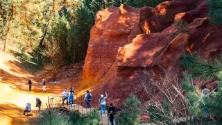 Ford trip, Roussillon