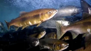 Fotr na tripu 10, itinerář 9