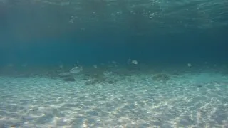 Sardinie 3. díl