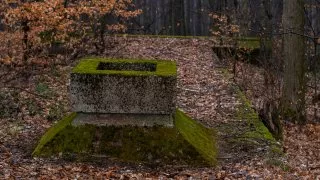 Subaru trip, Baťa, Bunč