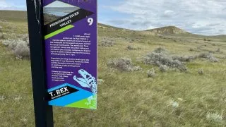 Fotr na tripu 10, dinosauři