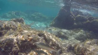 Sardinie 2. díl