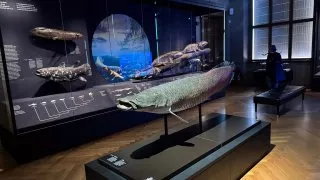 Národní muzeum Praha