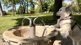 Fotr na tripu 11, Bělehrad