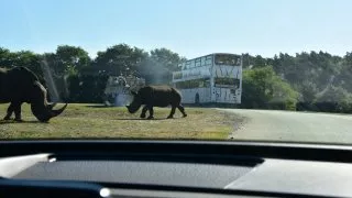 Safari Serengeti Park