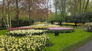 Keukenhof