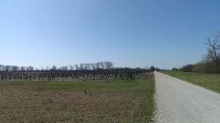 Neusiedler See