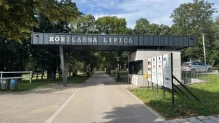 Slovinský trip