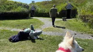 Fotr na tripu 10, vikingové