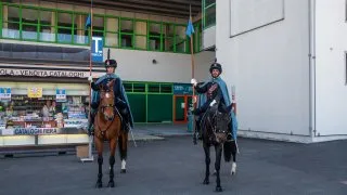 Fieracavalli 2025
