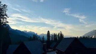 Fotr na tripu 10, medvědi