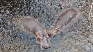 Vánoční trhy - Wroclaw