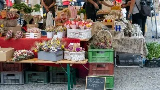 Slovenský trip - Trh Bátovce