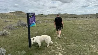 Fotr na tripu 10, dinosauři