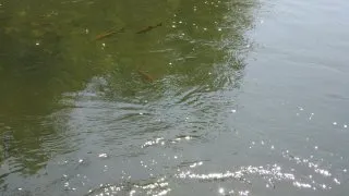 Žitný ostrov na kole